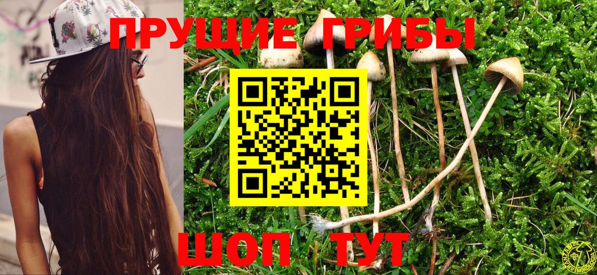 Мурманск  Псилоцибиновые грибы ЛСД  Псилоцибиновые грибы Cubensis  Вход с VPN 
