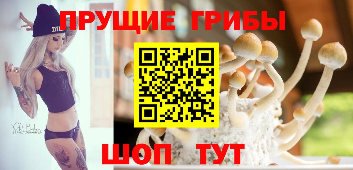 Псилоцибиновые грибы MAGIC MUSHROOMS Мурманск